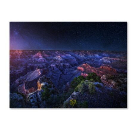 Trademark Fine Art Juan Pablo De 'Grand Canyon Night' Canvas Art, 24x32 1X03353-C2432GG
